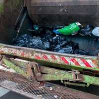 <p>A garbage truck</p>