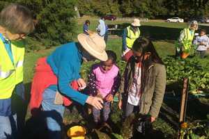 Pocantico Hills Celebrates Fall With Harvest Fest
