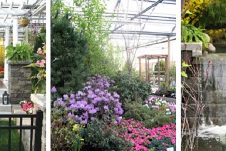 Lawn, Garden Shows Scheduled In Dutchess, Orange