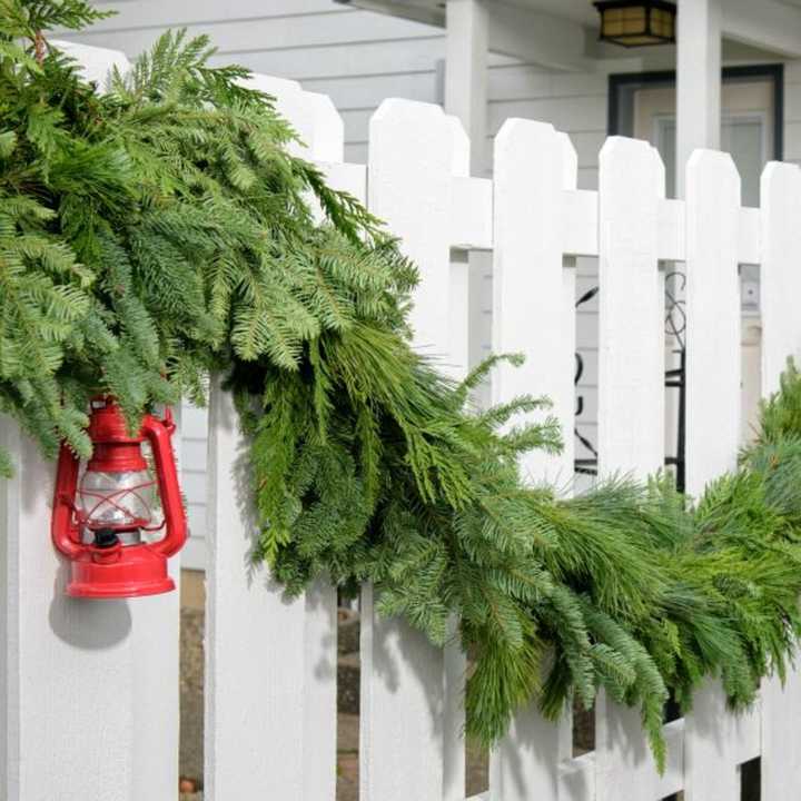 Get your decorations at Lynch Creek Farms and Willard Elementary in Ridgewood benefits. 