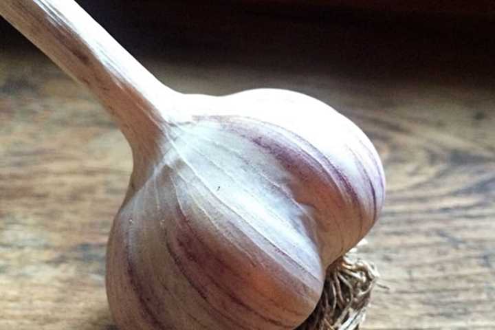 Ramsey Hosting First-Ever Garlic Festival
