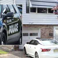 21 Cats, Two Dogs Found Neglected In Fair Lawn Woman's Home, Authorities Say