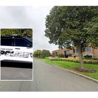 SEE ANYTHING? Dog Found Dead In Crate In Carlstadt Industrial Area