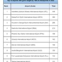 <p>And here&#x27;s your national Top 10, courtesy of the federal Transportation Security Administration (TSA).</p>