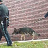 <p>A Bergen County Sheriff&#x27;s K-9 unit and the sheriff&#x27;s Bureau of Criminal Identification went to the grammar school this afternoon a short time after the morning incident concluded.</p>