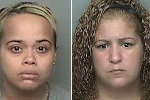 GOTCHA! House Cam Leads To Wayne Porch Pirate Arrests