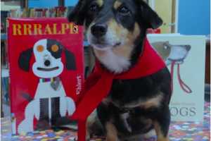 Old Tappan Library Lets Children Read To Certified Therapy Dog