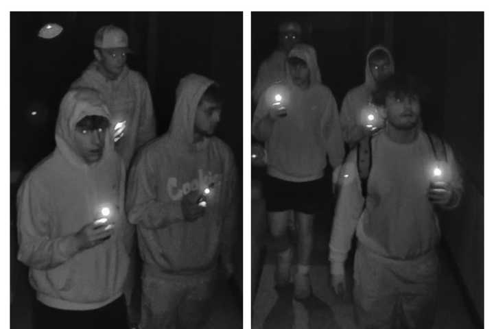 Anti-Semitic Graffiti On Long Island: Police Search For Quartet Responsible