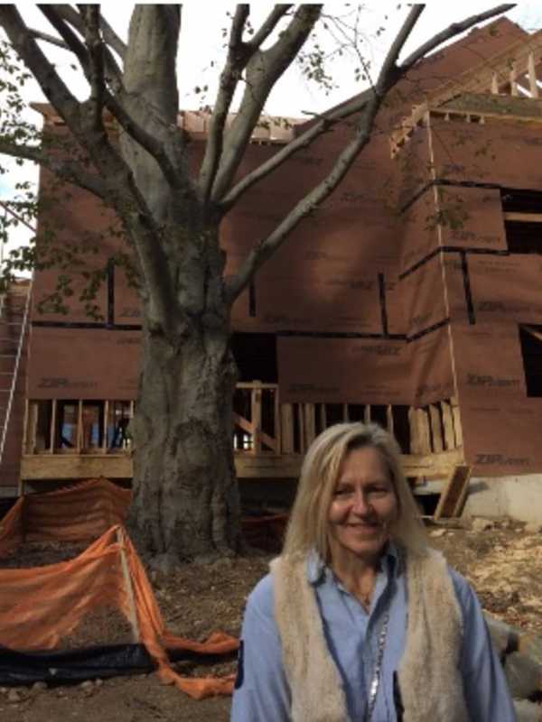 Tree Conservancy Celebrates Bond Between Greenwich Woman & Historic Tree