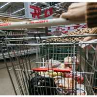 COVID-19: Do You Need To Sanitize Groceries? Experts Weigh In