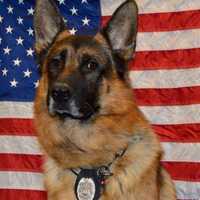 K9 Gunner Signs Off In Monroe