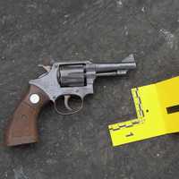 <p>The gun recovered.</p>