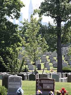 Tombstone Pins Bayonne Woman, 67, At North Arlington Cemetery