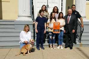Westport Unveils New 'Heat Kills' Signs