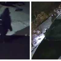 Burglar Caught On Camera In Hellertown, Police Warn
