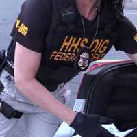 'Operation Brace Yourself': Feds Smash $1B Medical Fraud Scheme Targeting Elderly, Disabled