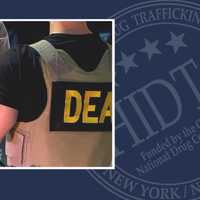 <p>One man was shot and another arrested as federal agents attempted to serve a gun-related warrant in Nanuet.</p>