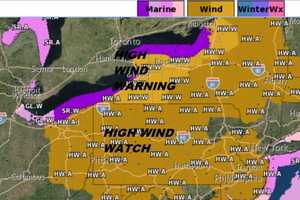 Hang On Tight: Downed Trees, Power Lines Coming As Winter’s Last Gasp Hits 50+ MPH