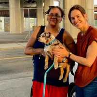NY Woman's Lost Dog Found By Actress Hilary Swank