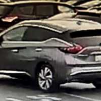 Know Him? Driver Sought In King Of Prussia Hit-Run