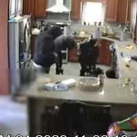 <p>Footage from the home invasion in East Oak Lane, Philadelphia on Nov. 6.&nbsp;</p>