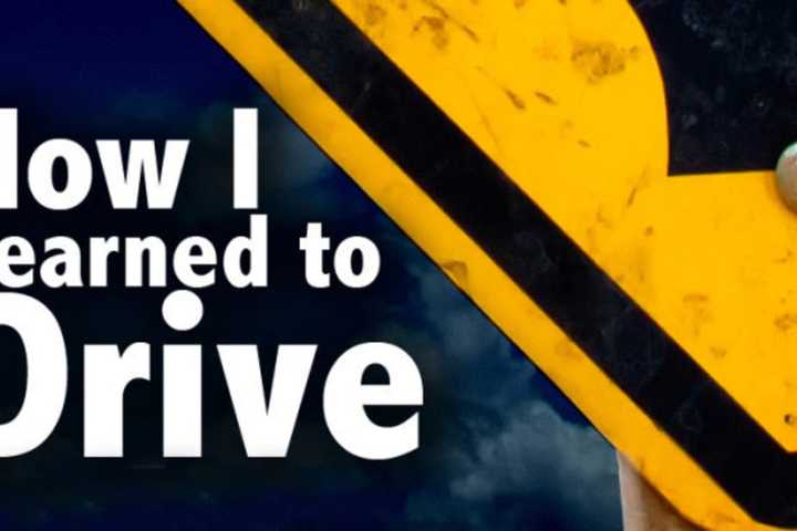 Theater Company In Armonk Stages 'How I Learn To Drive'