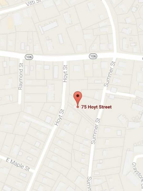 Cats Start Fire In New Canaan Kitchen By Turning On Stove