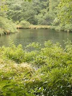 Cortlandt's Open Space Dreams Come True With Park's Transfer