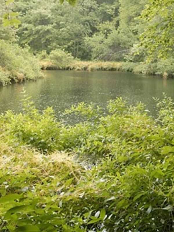 Cortlandt's Open Space Dreams Come True With Park's Transfer