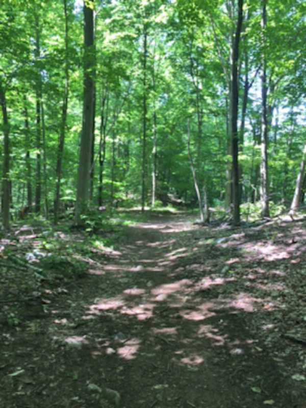 Lewisboro Land Trust Hosting Spring Hike