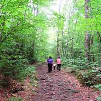 Jersey Shore Hiker Collapses, Dies On Catskills Trail: Report