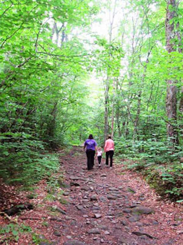 Marlboro Man Collapses, Dies On Catskills Trail: Report