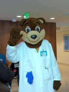 WPH's Dr. Ted E. Bear Treats Stuffed Friends In Annual Fair