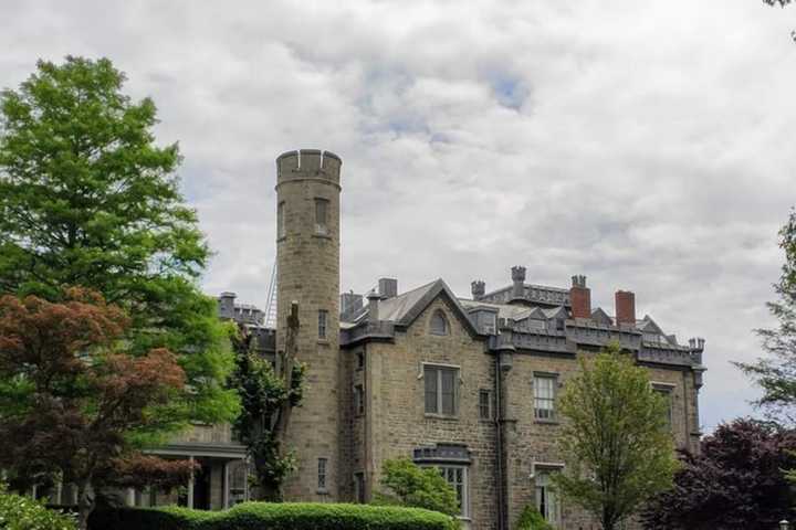 Committee Calls On City To Make Leland Castle A Landmark