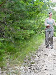 Learn Dog Etiquette On Connecticut Trails At Westport Event