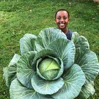 <p>A third-grader at Springhurst Elementary School, Keric Roach is a winner of the National Bonnie Plants Cabbage Program for growing this huge cabbage.</p>