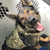 Man With Dementia Found Lying In Snow In Russell; K9 Leads Police To His Location