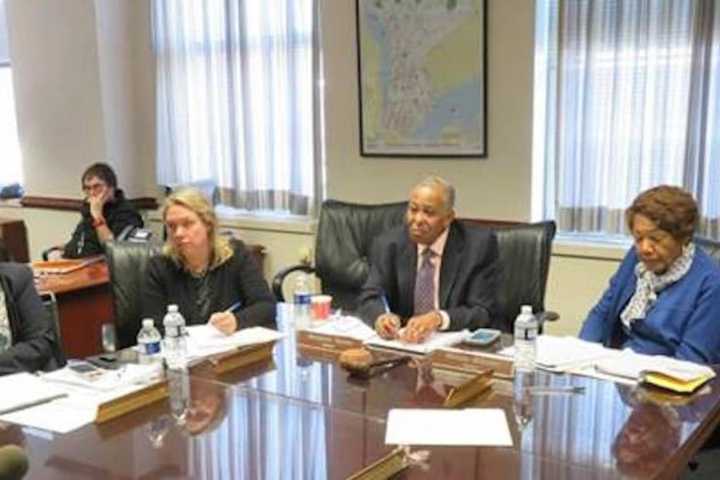 Westchester Legislators Grill Con Edison, NYSEG About Winter Power Outages