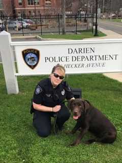 Darien Police K-9 Retires After Cancer Diagnosis