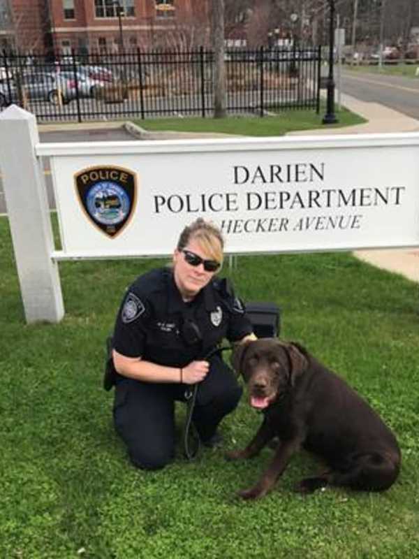 Darien Police K-9 Retires After Cancer Diagnosis
