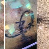 Police Hope 'Distinguishing' Tattoos Help ID Body Found In Maryland