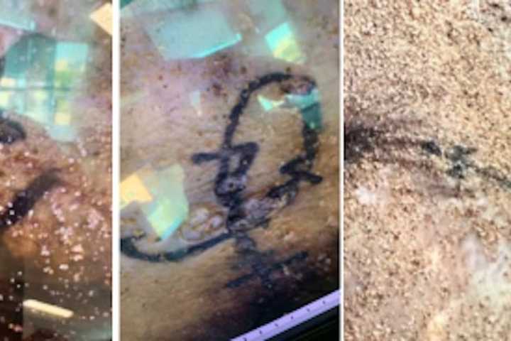 Police Hope 'Distinguishing' Tattoos Help ID Body Found In Maryland