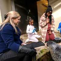 <p>Guests can sign up to train Atlantic harbor seals at the New England Aquarium in Boston</p>