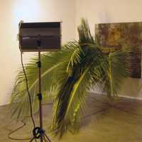 <p>Henrik Hakkansson, Untitled (Cocos Nucifera), 2006, Cocos nucifera palm tree, aluminum structure with dripping system and metal halide light,</p>