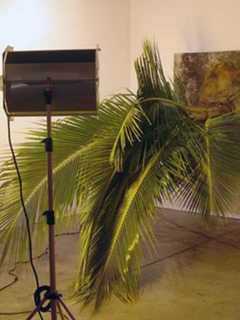 Katonah Museum Hosting 'SupraEnvironmental' Exhibit
