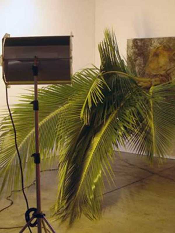 Katonah Museum Hosting 'SupraEnvironmental' Exhibit