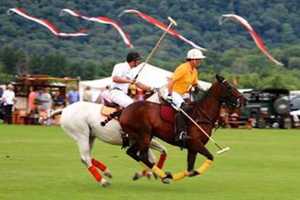 Pine Plains' Mashomack Polo Club Hosting 19th Annual Tournament