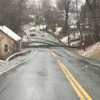 Two Sections Of 9W Closed Due To Downed Trees, Poles