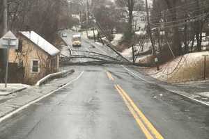 Two Sections Of 9W Closed Due To Downed Trees, Poles