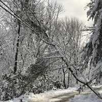 More Than 5K Rockland Customers Without Power